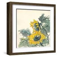 Sunflower II-Chris Paschke-Framed Art Print