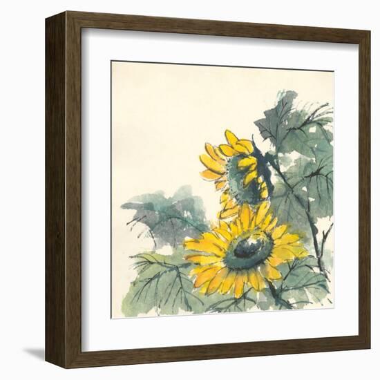 Sunflower II-Chris Paschke-Framed Art Print