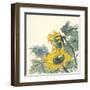 Sunflower II-Chris Paschke-Framed Art Print