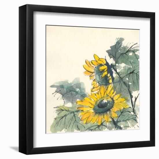 Sunflower II-Chris Paschke-Framed Art Print