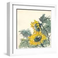 Sunflower II-Chris Paschke-Framed Art Print