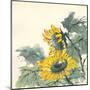Sunflower II-Chris Paschke-Mounted Art Print
