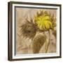 Sunflower II-li bo-Framed Giclee Print