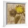 Sunflower II-li bo-Framed Giclee Print