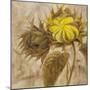 Sunflower II-li bo-Mounted Giclee Print