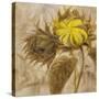 Sunflower II-li bo-Stretched Canvas