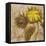 Sunflower II-li bo-Framed Stretched Canvas