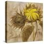 Sunflower II-li bo-Stretched Canvas