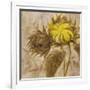 Sunflower II-li bo-Framed Giclee Print