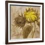 Sunflower II-li bo-Framed Giclee Print