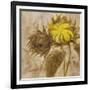 Sunflower II-li bo-Framed Giclee Print