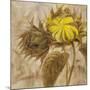 Sunflower II-li bo-Mounted Giclee Print