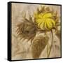 Sunflower II-li bo-Framed Stretched Canvas