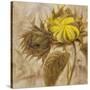 Sunflower II-li bo-Stretched Canvas