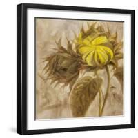 Sunflower II-li bo-Framed Giclee Print