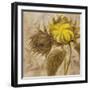 Sunflower II-li bo-Framed Giclee Print