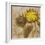 Sunflower II-li bo-Framed Giclee Print