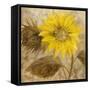 Sunflower III-li bo-Framed Stretched Canvas