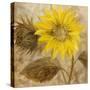 Sunflower III-li bo-Stretched Canvas