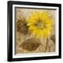 Sunflower III-li bo-Framed Giclee Print