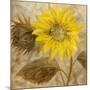 Sunflower III-li bo-Mounted Giclee Print