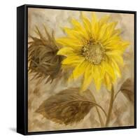 Sunflower III-li bo-Framed Stretched Canvas