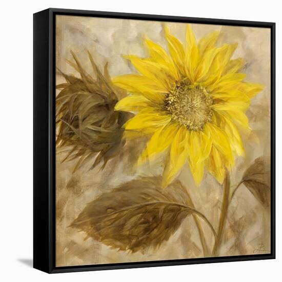 Sunflower III-li bo-Framed Stretched Canvas