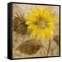 Sunflower III-li bo-Framed Stretched Canvas