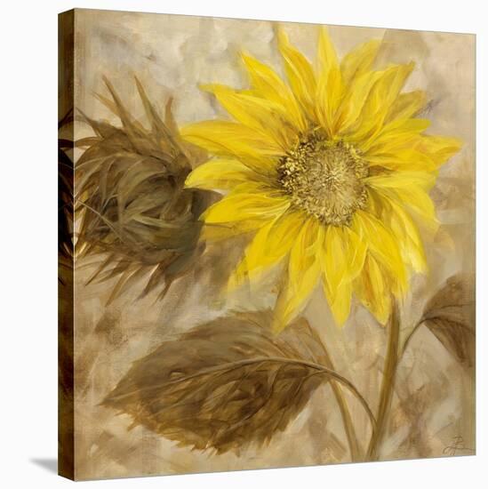 Sunflower III-li bo-Stretched Canvas