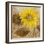 Sunflower III-li bo-Framed Giclee Print