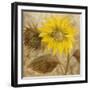 Sunflower III-li bo-Framed Giclee Print