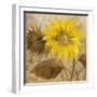 Sunflower III-li bo-Framed Giclee Print