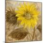 Sunflower III-li bo-Mounted Giclee Print