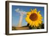 Sunflower, in Front of a Nuclear Power Plant-null-Framed Photo