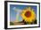 Sunflower, in Front of a Nuclear Power Plant-null-Framed Photo