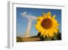 Sunflower, in Front of a Nuclear Power Plant-null-Framed Photo
