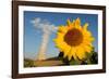 Sunflower, in Front of a Nuclear Power Plant-null-Framed Photo