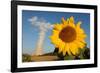 Sunflower, in Front of a Nuclear Power Plant-null-Framed Photo