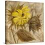 Sunflower IV-li bo-Stretched Canvas