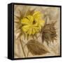 Sunflower IV-li bo-Framed Stretched Canvas