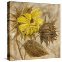 Sunflower IV-li bo-Stretched Canvas