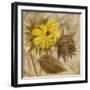 Sunflower IV-li bo-Framed Giclee Print