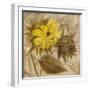 Sunflower IV-li bo-Framed Giclee Print