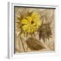 Sunflower IV-li bo-Framed Giclee Print