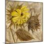 Sunflower IV-li bo-Mounted Giclee Print
