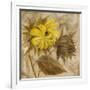 Sunflower IV-li bo-Framed Giclee Print