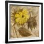 Sunflower IV-li bo-Framed Giclee Print