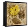 Sunflower IV-li bo-Framed Stretched Canvas