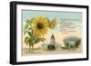 Sunflower, Kansas Capitol, Poem-null-Framed Art Print