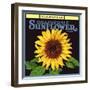 Sunflower Label-null-Framed Giclee Print